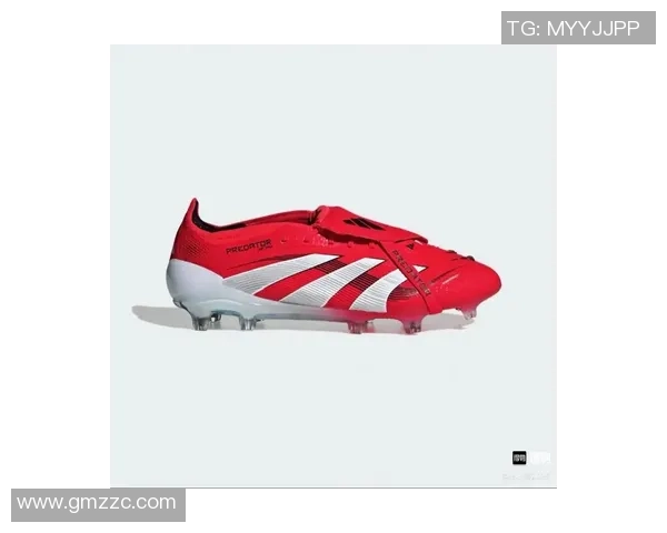 各类足球明星推荐的专属足球鞋品牌及选择技巧分析